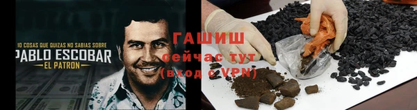 ешки Алексин