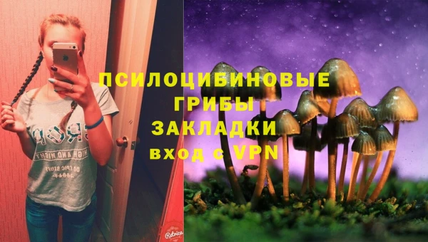 мяу мяу мука Абдулино