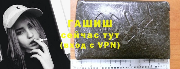 ешки Алексин