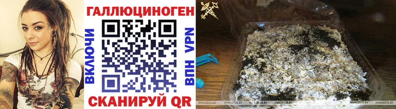 Галлюциногенные грибы GOLDEN TEACHER  цены наркотик  Усть-Лабинск 